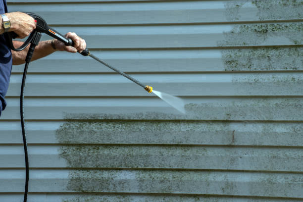 Best Pressure Washing Services Near Me  in La Grulla, TX