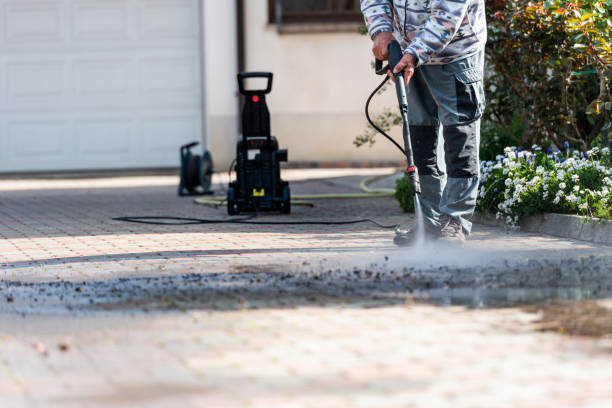 Best Residential Pressure Washing Services  in La Grulla, TX