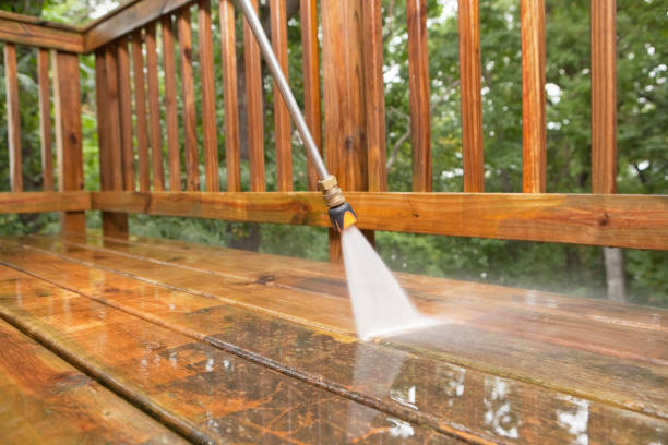 Best Sidewalk Pressure Washing  in La Grulla, TX