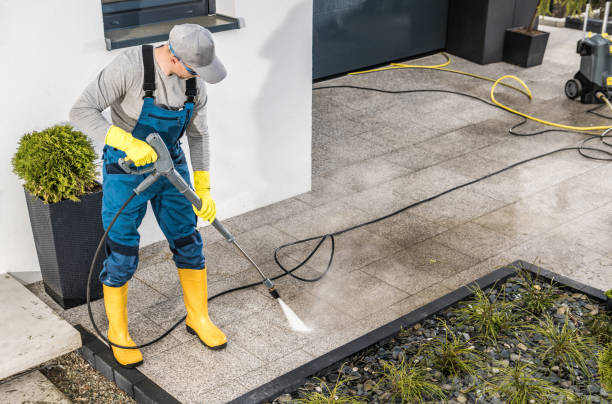 Best Best Pressure Washing Companies  in La Grulla, TX
