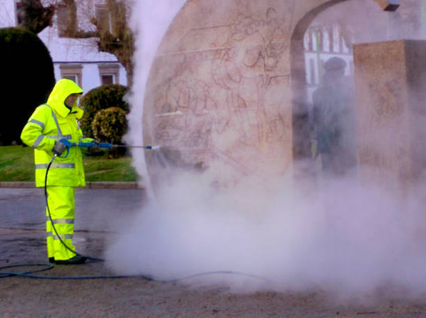 Best Local Pressure Washing Services  in La Grulla, TX
