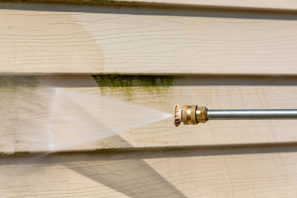 Why Choose Our Certified Pressure Washing Experts for Your Project Needs in La Grulla, TX?