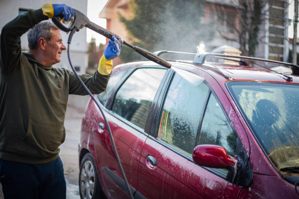 Best Affordable Power Washing  in La Grulla, TX