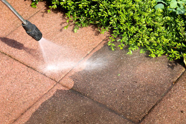 Best Pressure Washing Near Me  in La Grulla, TX